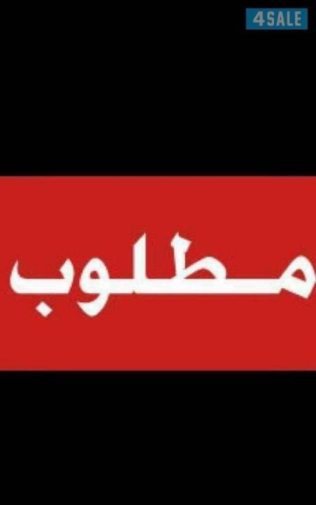 Wanted government house, dam or corner, in Mubarak Al-Kabeer or Al-Qurain