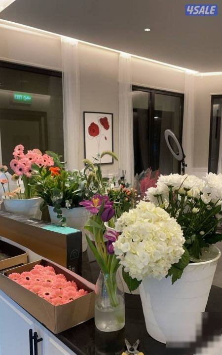 Shop in West Abu Ftirah Hirafwia