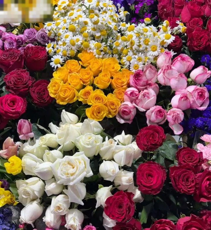 للايجار مكاتب ومحلات