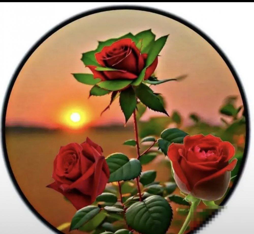 Apartment in Mishrif