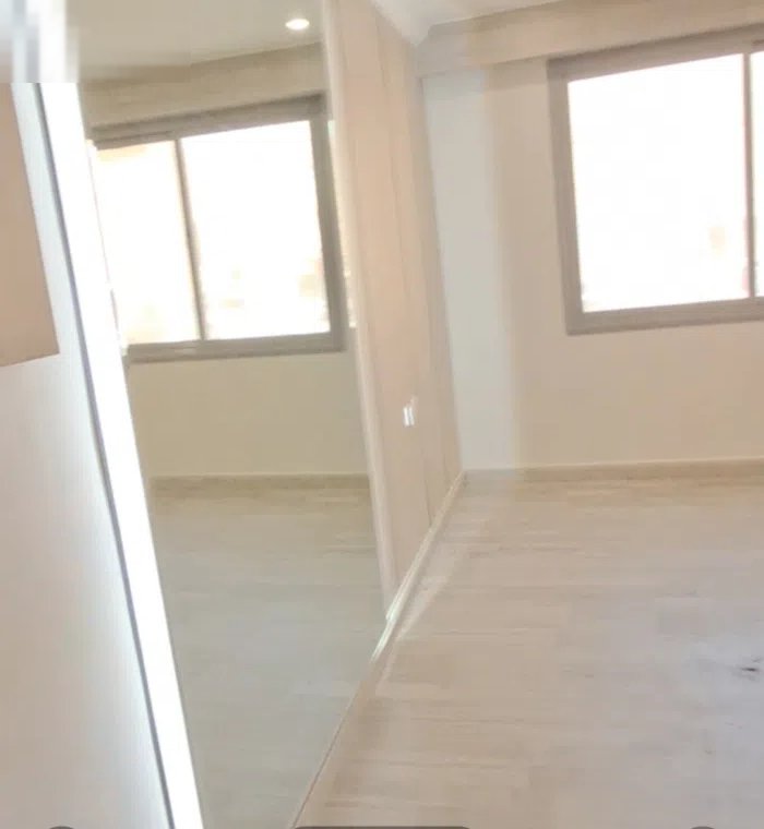 شقه استثماره