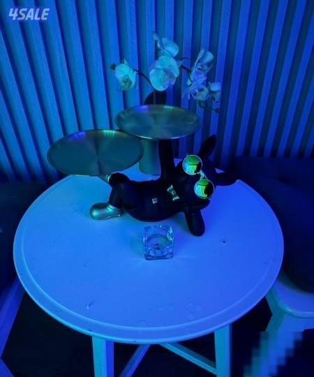 Furnished apartment in 