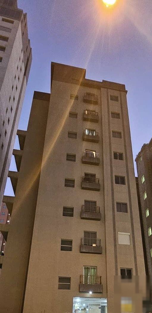 For sale building belly and back rebound