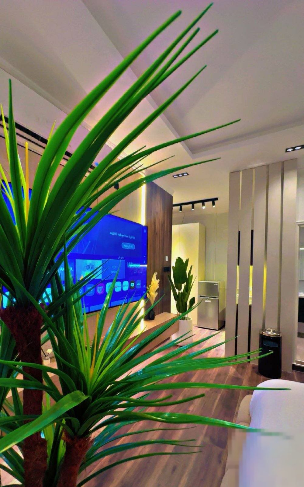 Furnished apartment in Ahmadi