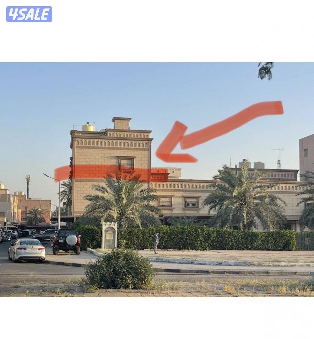 Ali the street central elevator windows blinds parquet