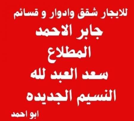 Apartment in South AlMutlaa 11