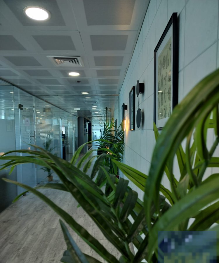 Office in Kuwait City