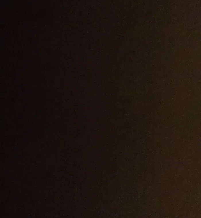 رنگنے کی ضمانت