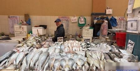Fish market in Al-Kout market, the site is excellent
