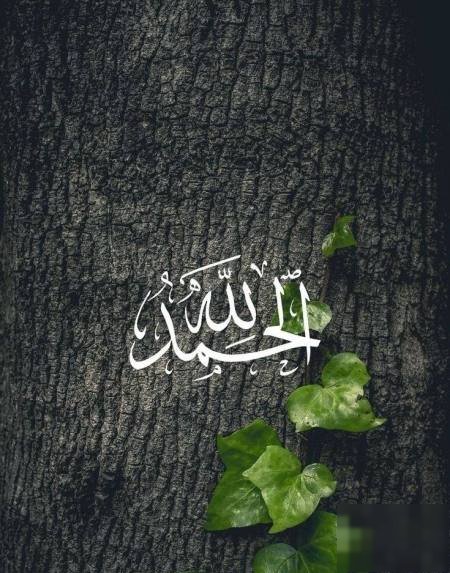 Floor in Saad Al-Abdulla