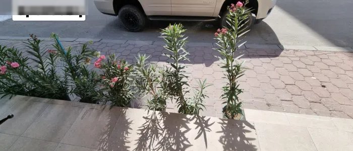 للايجار محل 40 متر مربع بصباح السالم مع دفع خلو  Shop for rent, 40 square meters, in Sabah Al-Salem,