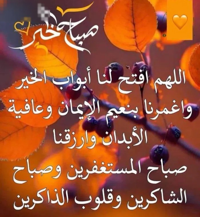 800 m2 More than 6 bedrooms Villa for Sale in Al Jahra Saad Al Abdullah