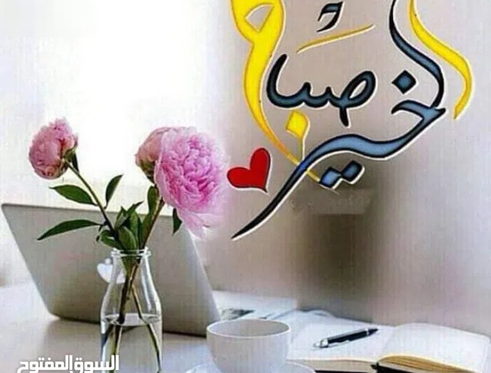 12 m2 Studio Apartments for Rent in Hawally Hawally