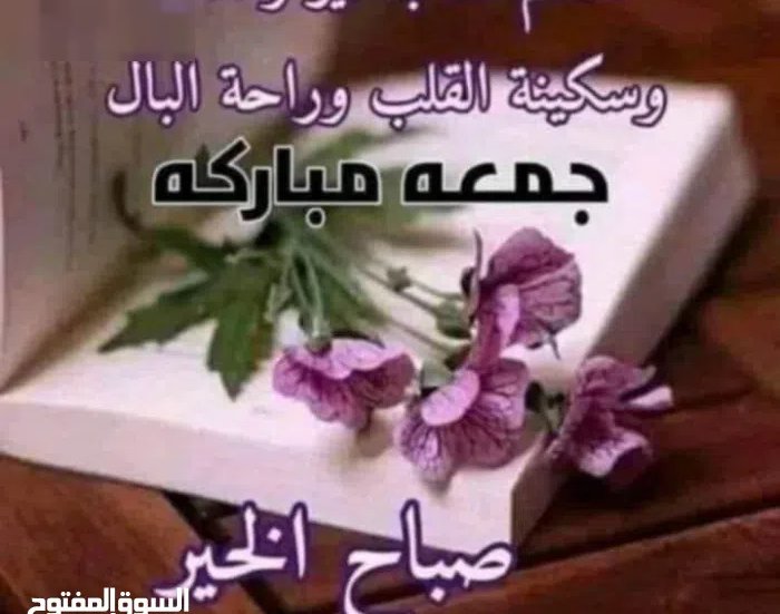 4 m2 2 Bedrooms Apartments for Rent in Farwaniya Farwaniya