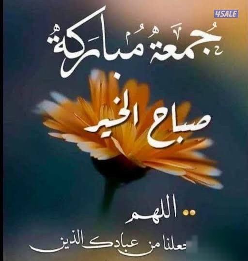 Duplex super deluxe Abu Fatira