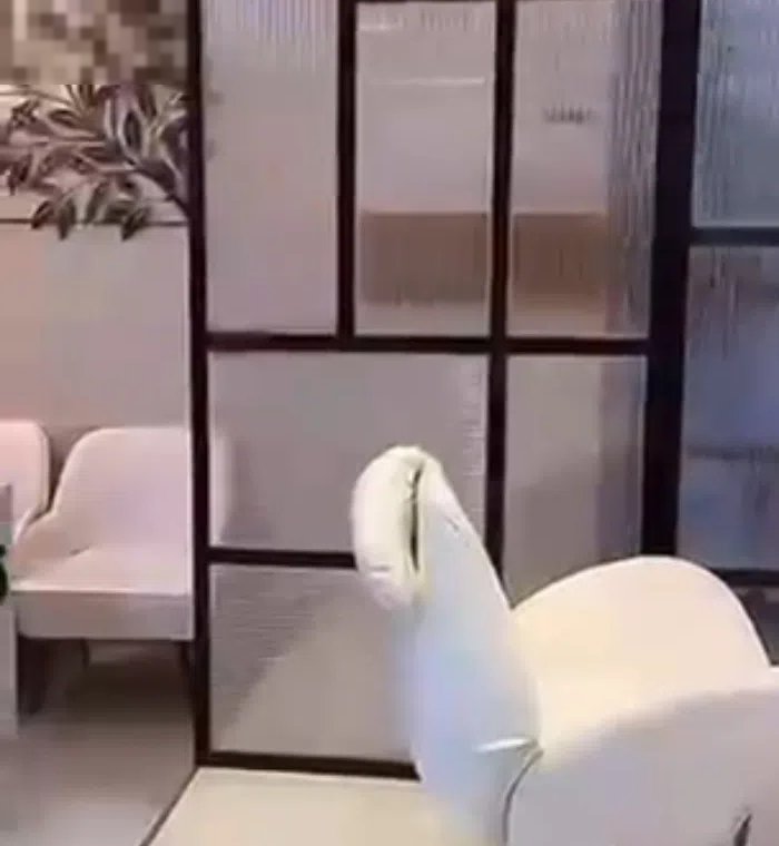 فرصه إيجار وشراء صالون راقى جدا vip بمساحه 220 متر