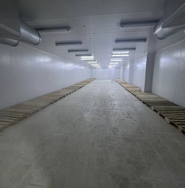 قسيمه بالشويخ مجمد ومبرد سعر مميز