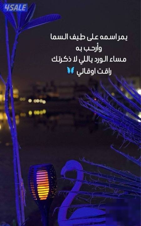 For families only Ali the creek direct