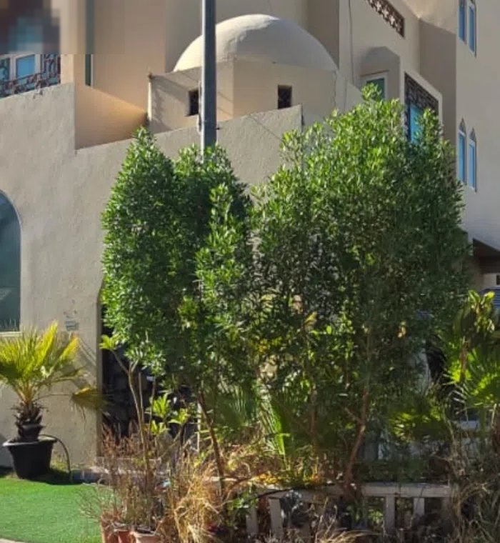 375 m2 More than 6 bedrooms Villa for Sale in Hawally Mishrif