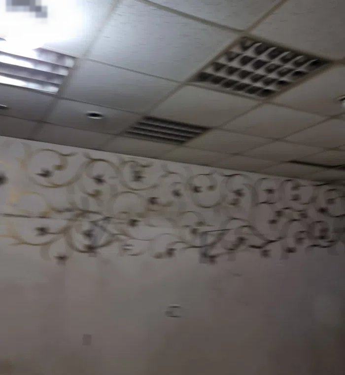 للايجار محل بالجابرية موقع مميز مساحتة 25 متر  Shop for rent in Jabriya, prime location, 25 square m