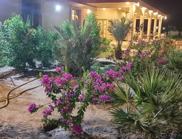 5 Bedrooms Chalet for Rent in Al Jahra Abdali