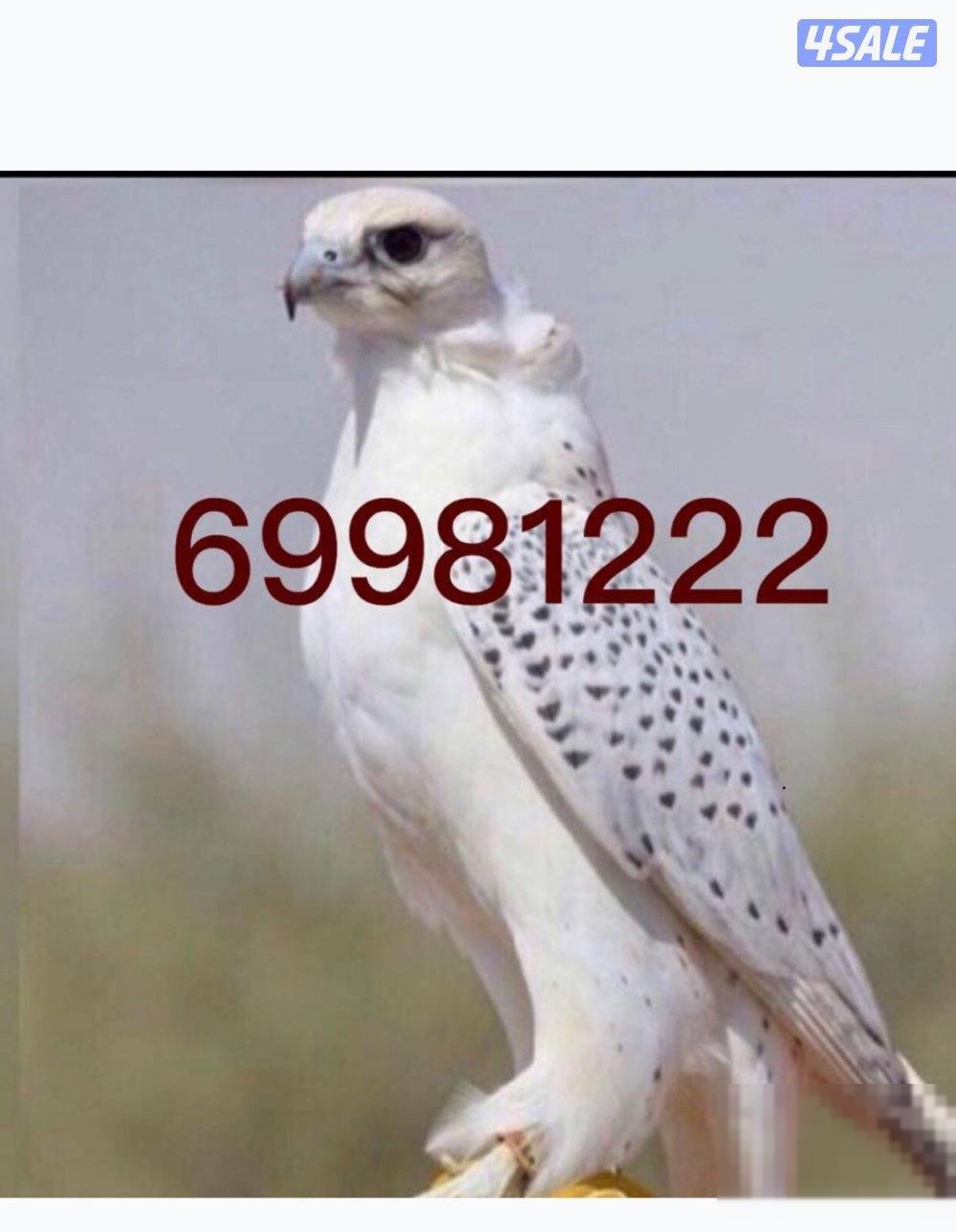 For rent house in Al-Firdous two floors