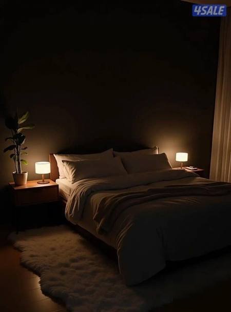 Rent daily Hawalli place elegant