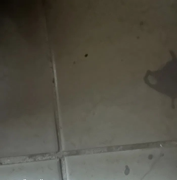 1 m2 1 Bedroom Apartments for Rent in Hawally Hawally