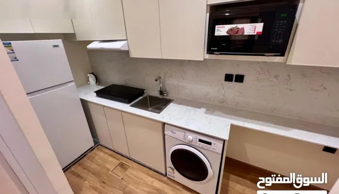 SHARQ - Brand New Furnished 1 BR Apartment