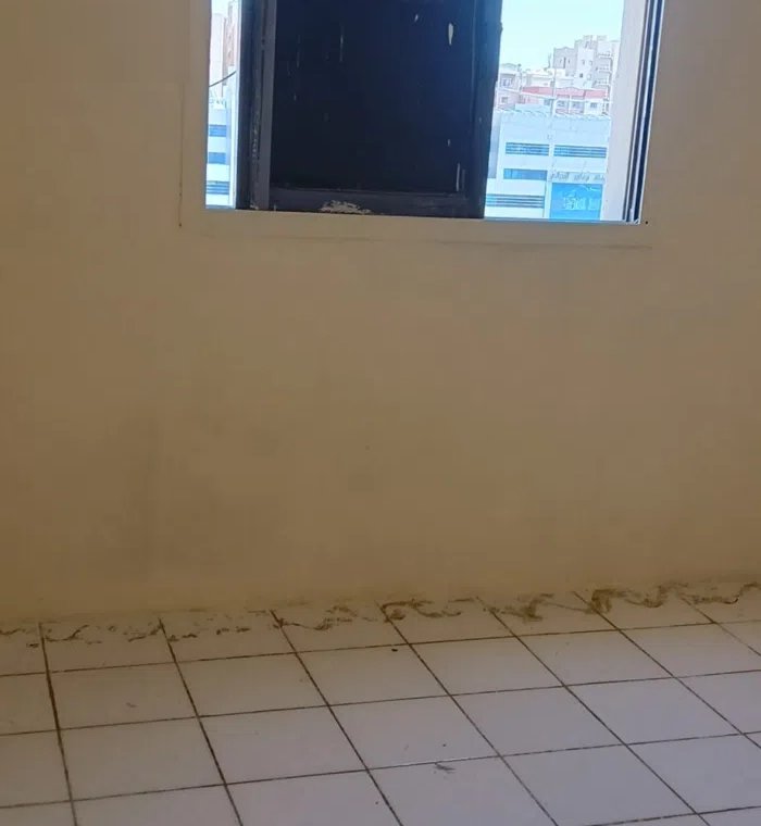 شقه مكتبة  تجاري