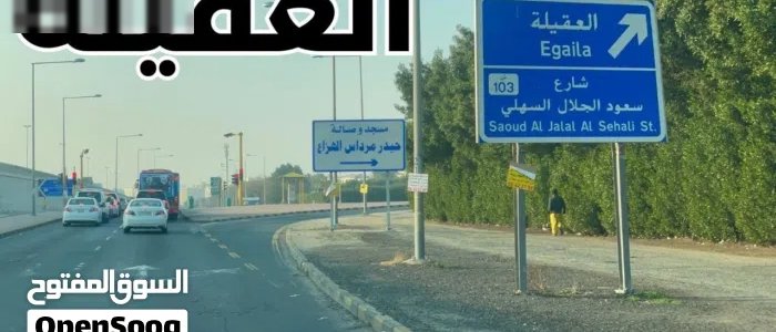 عقار للبيع (خلو)