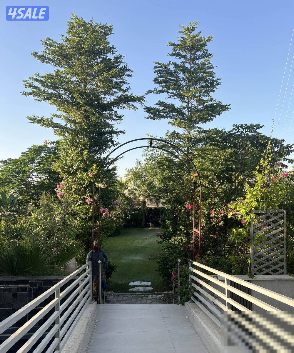 For rent chalet second row. And complete privacy and a private pool