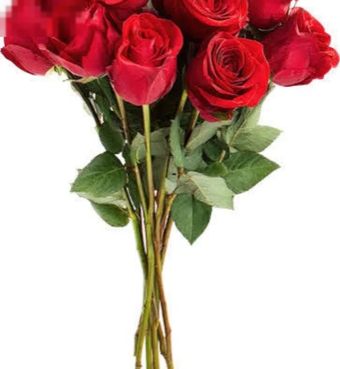 للبيع محل ورد سوق كرز