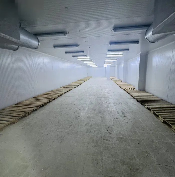 قسيمه بالشويخ مجمد ومبرد سعر مميز